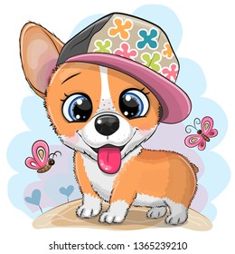 Cute cartoon Dog Corgi in a cap on a meadow