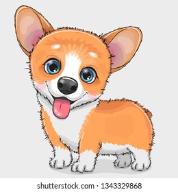 Cute cartoon Dog Corgi isolated on a white background