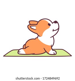 Cute Cartoon Dog Doing Yoga. Adorable Little Corgi Puppy In Upward Facing Dog Posture (Urdhva Mukha Shvanasana). Funny Vector Clip Art Illustration.