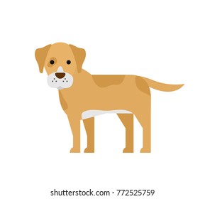 cute cartoon dog  flat style on white background
