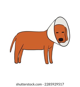 Cute cartoon dog, puppy wearing cone funny character illustration. Hand drawn vector, isolated. Line drawing. Domestic animal logo. Design concept for pet food, branding, business, vet, print, poster