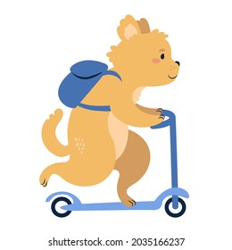 A cute cartoon dog riding a a kick scooter. Flat style illustration isolated on white background.
