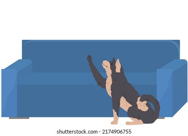 Cute cartoon dog sitting and giving paw. Home doggy, pet, domestic animal near couch. Pet friend, human companion with blue collar on background of interior element, sofa. Caring for animals concept