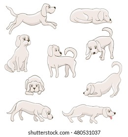 cute cartoon dog in various poses. vector illustration
