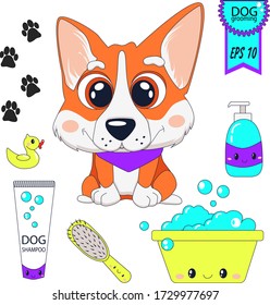 Cute cartoon dogs clipart. Welsh Corgi. Hand drawn. Grooming. Dog care element. Vector illustration