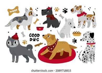 Cute cartoon dogs. Different pet breeds, funny animals characters, happy bull terrier, corgi, labrador and dalmatian with accessories collars childish collection, vector