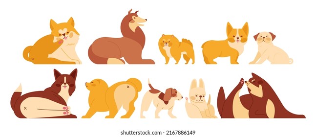 Cute cartoon dogs set. Funny adorable different breads of puppies. Domestic animal in different poses sitting, standing, stretching, playing, lying. Flat vector illustration