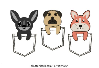 Cute cartoon dogs sitting in pockets image. Vector illustration of  Popular breed of dogs. Perfect for kids t shirt print.