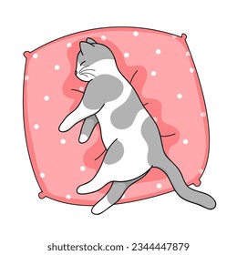 Cute cartoon domestic cat sleeping on a pillow. Isolated on white vector illustration. Animal nature icon, flat