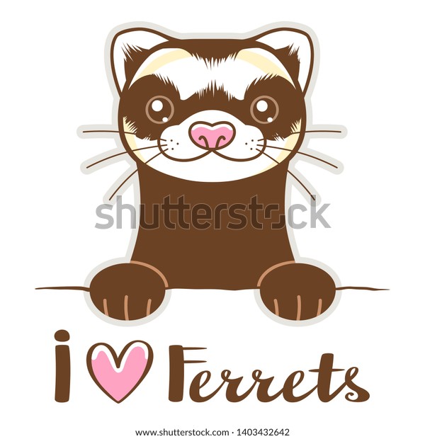 Stock vektor „Cute Cartoon Domestic Ferret On White“ (bez autorských