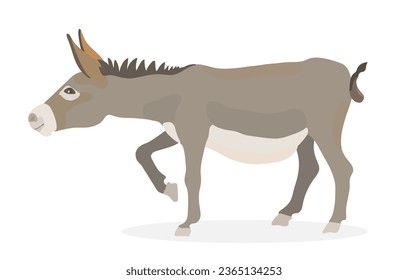 Cute cartoon donkey. Vector funny animals illustration.