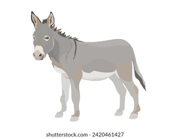 Burro de dibujos animados. Ilustración de animales de granja divertidos vectores aislados en el fondo blanco.