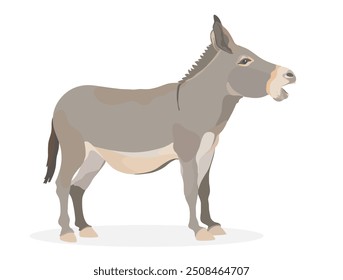 Bonito burro de desenho animado. Ilustração de animais selvagens engraçados de vetor.