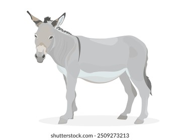 Bonito desenho animado Burro. Ilustração divertida de animal.