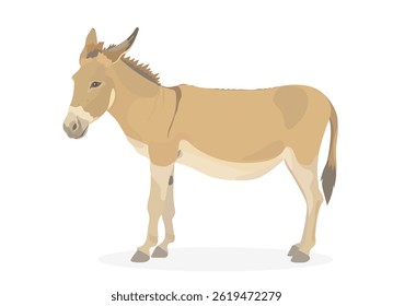 Bonito desenho animado Burro. Ilustração de animal engraçado de vetor isolado no branco.
