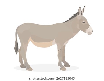Bonito desenho animado Burro. Ilustração de animal engraçado de vetor isolado no branco.