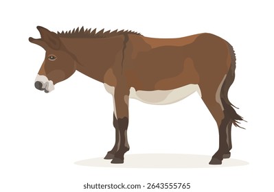 Cute cartoon donkey. Vector funny animal illustration isolated on white background.