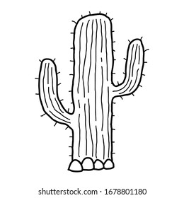 Cutáneo doodle cactus lineal en el desierto aislado en fondo blanco. Ilustración vectorial.  