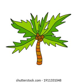Cute cartoon doodle linear palm isolated on white background. Exotic tree sketch.
