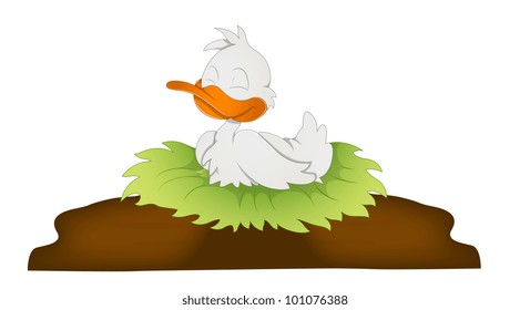 Cute Cartoon Duck