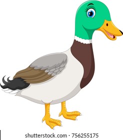 Cute cartoon duck