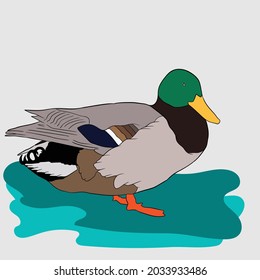cute cartoon duck with fish illustrations and vectors
