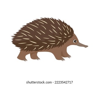 Cute cartoon Echidna isolated on white background. Vector illustration of  Australian animal in cartoon flat style.