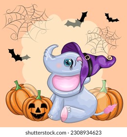 Cute cartoon elephant, childish character in wizard hat with pumpkin, potion or broom. Halloween postcard.
