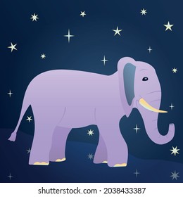 Cute cartoon elephant on a background of the starry sky. Purple elephant walks along the path, side view, profile. Flat vector illustration