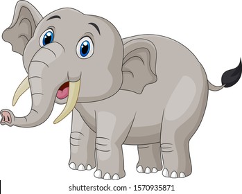 Cute cartoon elephant on white background