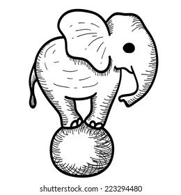 Cute Cartoon Elephant Standing on a Ball. Vector Hand drawn Illustration. Sketch Isolated on White