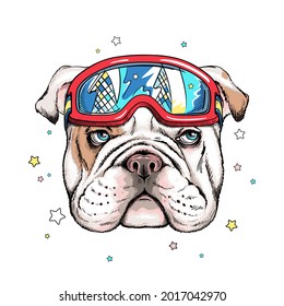 Cute cartoon english bulldog with ski goggles . Dog portrait in hand drawn style. Stylish image for printing on any surface	