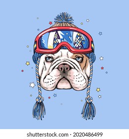 Cute cartoon english bulldog in winter hat and ski goggles. Stylish image for printing on any surface	