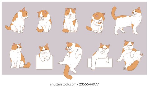 Cute Cartoon Exotic Shorthair cat set	