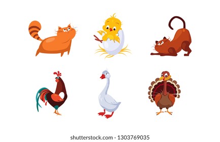 Cute cartoon farm animals and pets set, cats, cock, chicken, turkey, goose vector Illustration