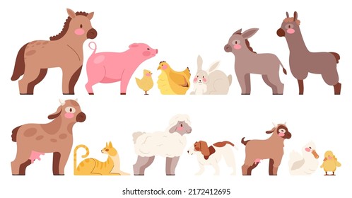 Animales de granja de dibujos animados. Pequeño potro, cabra, barco, burro, vaca y otros animales. Pájaros domésticos como la gallina con patos y patos con patos. Ilustración vectorial plana