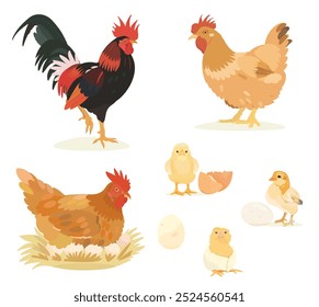 Coleção de pássaros de fazenda de desenhos animados bonitos. Ilustrações vetoriais de galinha, galinha, ovos, galinha e galo sobre fundo branco. Conjunto de clipe de aves.