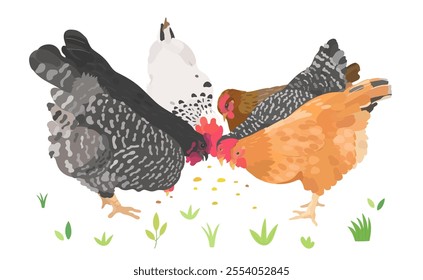 Cute cartoon farm birds collection. Cute vector Chicken, Hen character illustration isolated on white background. Set of poultry clip.