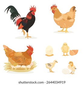 Cute cartoon farm birds collection. Vector illustrations of red Chicken, Hen, eggs, Chicks and Rooster isolated on white background. Set of poultry clip.