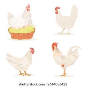 Cute cartoon farm birds collection. Vector illustrations of White Chicken, Hen, eggs, Chicks and Rooster isolated on white background. Set of poultry clip.