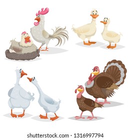 Cute cartoon farm birds set. Couple birds collection. Rooster and hen, ducks, geese and turkeys. Farm animals. Vector illustrations isolated on white background.