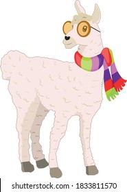 Cute cartoon fashionable llama in glasses and scarf vector design. Illustration for nursery design, poster, greeting, birthday, party, baby shower