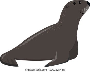 cute cartoon flat sea lion from side, vector isolated on white, illustration for children