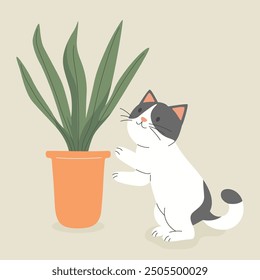 Cute Cartoon Flat Vector Cat Reaching for a Potted Sansevieria Plant. Vector Illustration for Cat Lovers. Pet Kitten Home Life Design Template