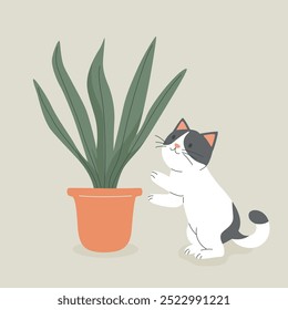 Cute Cartoon Flat Vector Cat Reaching for a Potted Snake Plant, Sansevieria. Vector Illustration for Cat Lovers. Pet Kitten Home Life Design Template