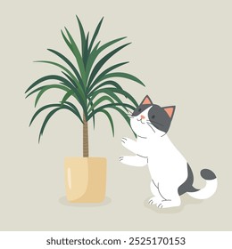 Cute Cartoon Flat Vector Cat Reaching for a Potted Dracaena Plant. Vector Illustration for Cat Lovers. Pet Kitten Home Life Design Template