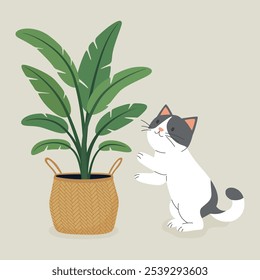 Cute Cartoon Flat Vector Cat Reaching for a Potted Ficus, Banana Palm Plant. Vector Illustration for Plant Lovers. Adorable Pet Kitten Home Life Design Template