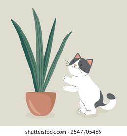 Gato de Vector plano lindo de la historieta que alcanza para una planta en maceta. Ilustración vectorial para los amantes de las plantas. Adorable Pet Kitten Plantilla de diseño de vida en el hogar