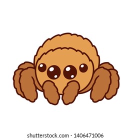 Cute cartoon fluffy spider and big shiny eyes  Kawaii spider character drawing  isolated vector illustration 