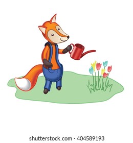 Cute cartoon fox in blue trousers watering flowers with can and standing on lawn. Isolated on white background. Vector illustration.